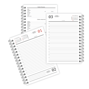 Agenda 2025 personalizada 1 dia por página