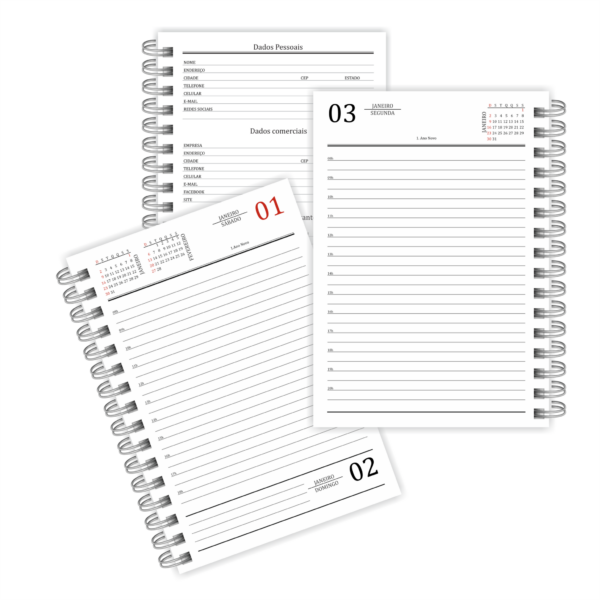 Agenda 2025 personalizada 1 dia por página